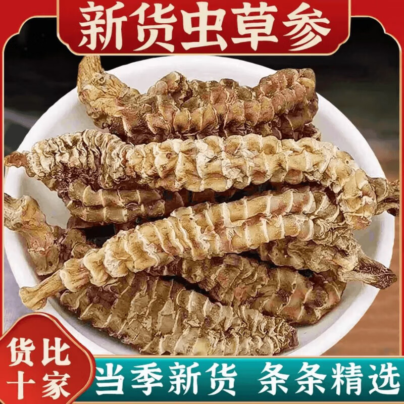 同仁堂精選云南蟲(chóng)草參地參新鮮貨大條泡酒地蠶草石蠶地筍煲湯煮水 蟲(chóng)草參100g*1袋(試吃裝)