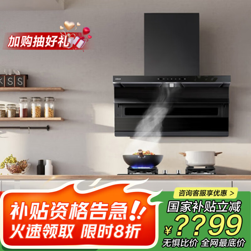 老板（Robam）小黑翼顶侧双吸抽吸排油烟机25风量家用大吸力以旧换新家电国家补贴20%一级能效D1【套装商品】