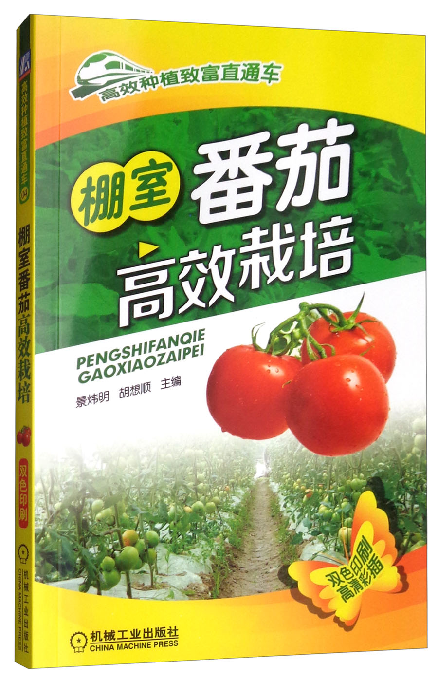 棚室番茄高效栽培怎么看?