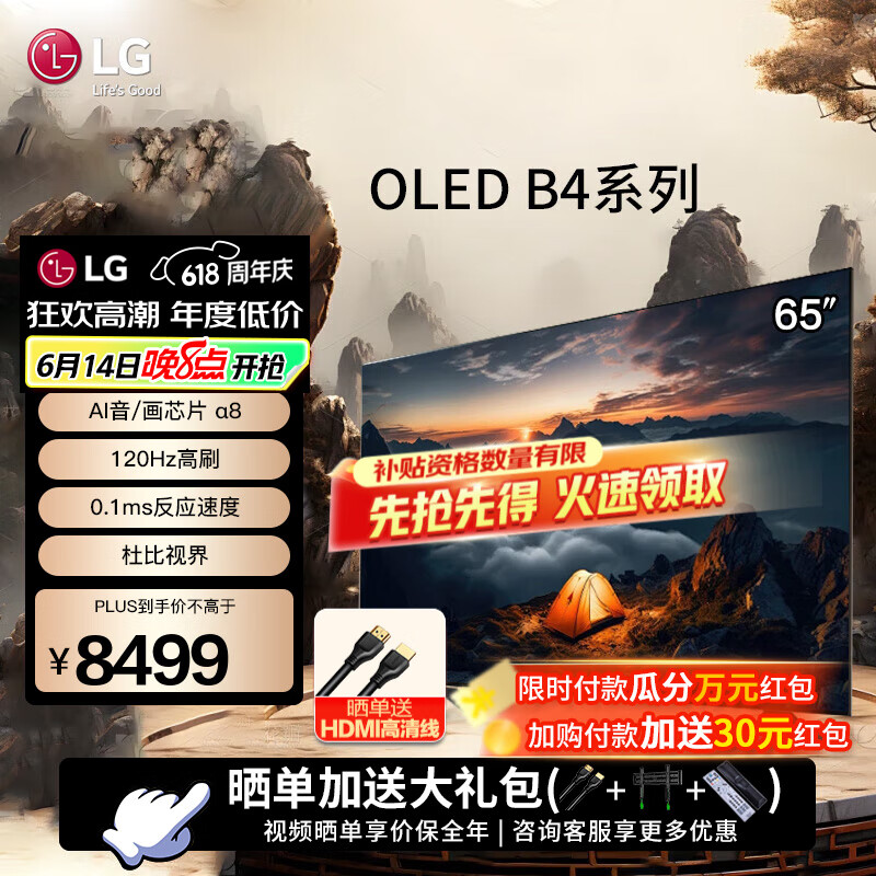 LG65英寸OLED游戏电视机智能4K超高清全面屏 120HZ高刷兼G-SYNC HGIG电竞显示 杜比视界 65英寸 【性价比B4系列】OLED65B4PCA
