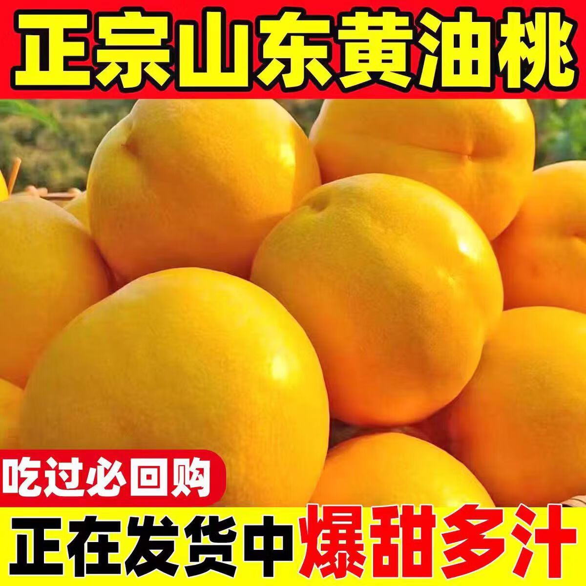 豫见不宛 黄油桃净果3斤单果125克起