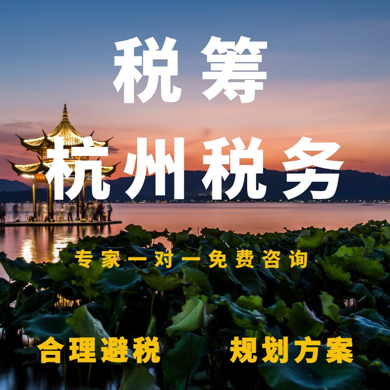 个体 企业网上报税 0零申报 财务税务代理 会计代理记账 远程报税税务