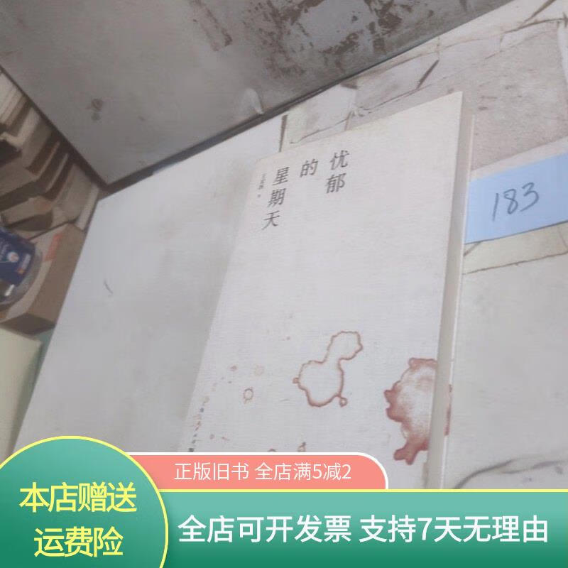 忧郁的星期天 上海人民出版社