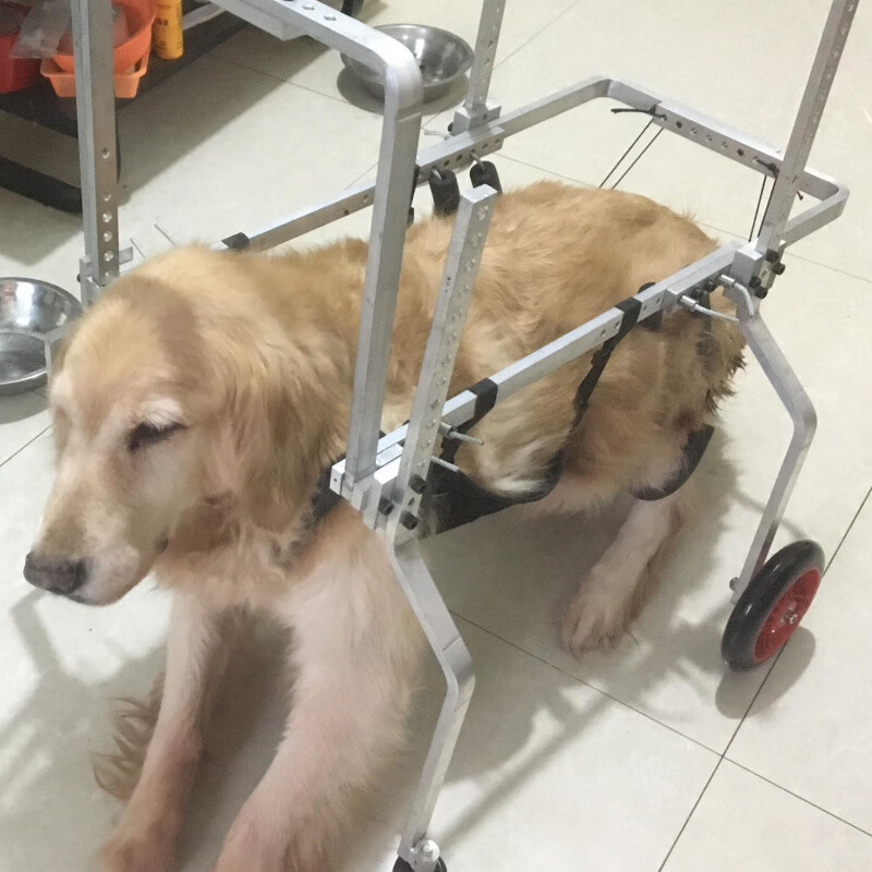 oimg残疾狗轮椅后肢宠物助力车老年狗前肢后肢辅助四轮后腿猫助力 l