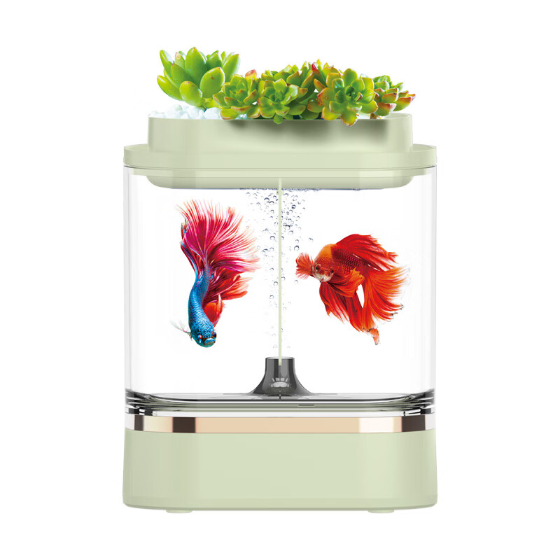 畫(huà)法幾何迷你兩棲生態(tài)魚(yú)缸客廳小型家用桌面創(chuàng)意亞克力造景金魚(yú)缸 迷你桌面魚(yú)缸