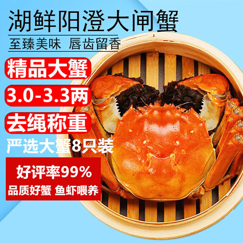 【活蟹】湖鲜阳澄 大闸蟹 去绳足重 3.0-3.3两 8只 鲜活六月黄现货超大螃蟹生鲜礼盒装