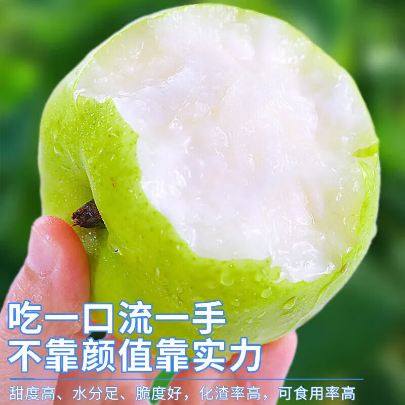 果农侠安徽砀山梨 青皮蜜梨酥梨 时令水果梨子大梨 5斤装单果250-300g净重4.5斤+