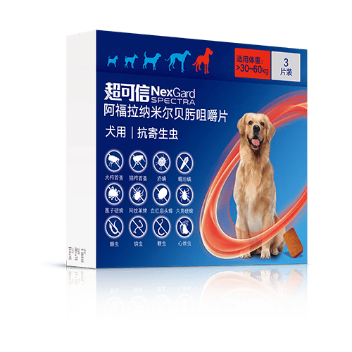 值无不言244期：数年铲屎官大力推荐，618狗狗用品囤货大全