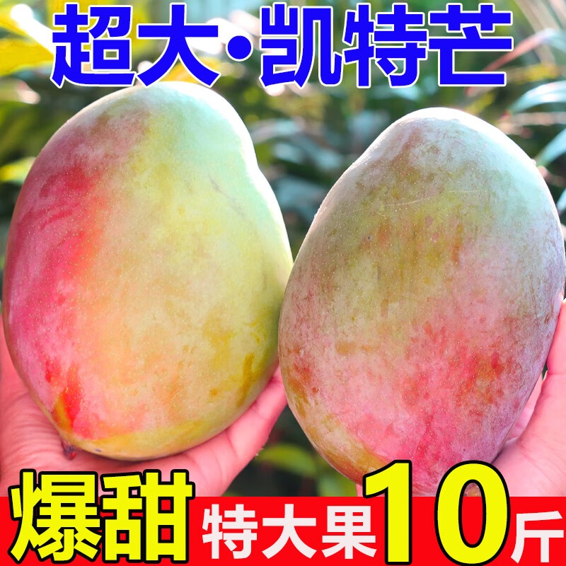 壹萌果蔬凯特芒芒果 当季现摘四川大芒果新鲜水果水仙青芒果整箱送礼 5斤精品果【单果300g+】 净重4.5斤