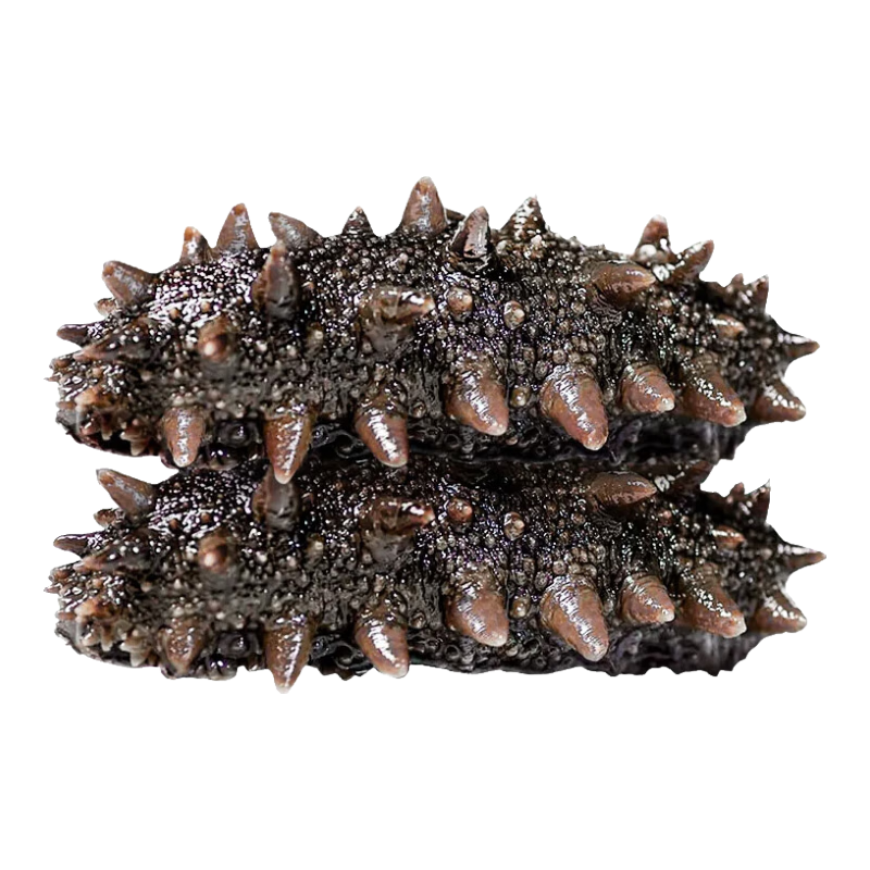 连海肴即食海参 大连刺参单个独立包装 鲜食海参 辽参化冻即食 海鲜礼盒 500g 18-20只【固形物≥85%】