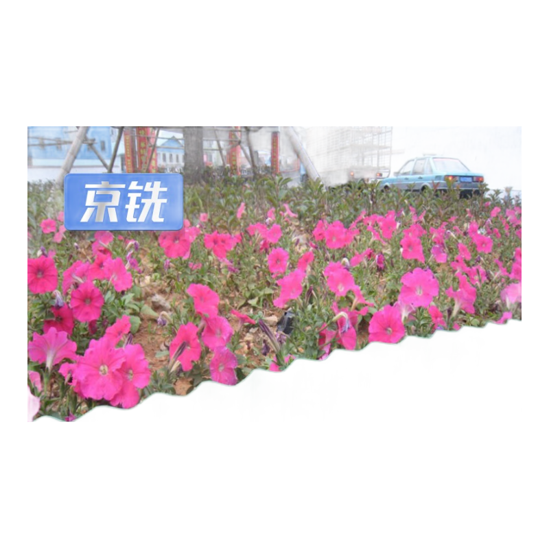 京銑花壇圍欄簡易圍擋塑料籬笆插地柵欄拼田園草坪花園園藝草地護欄 25cm高*9米長