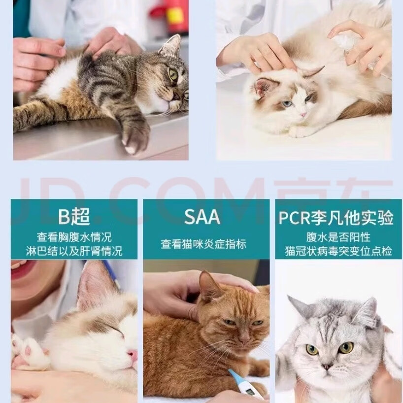 44I1猫腹传干性反复发烧黄疸湿性有腹水食欲差片剂猫腹传 加强版油剂6ml20浓度9瓶