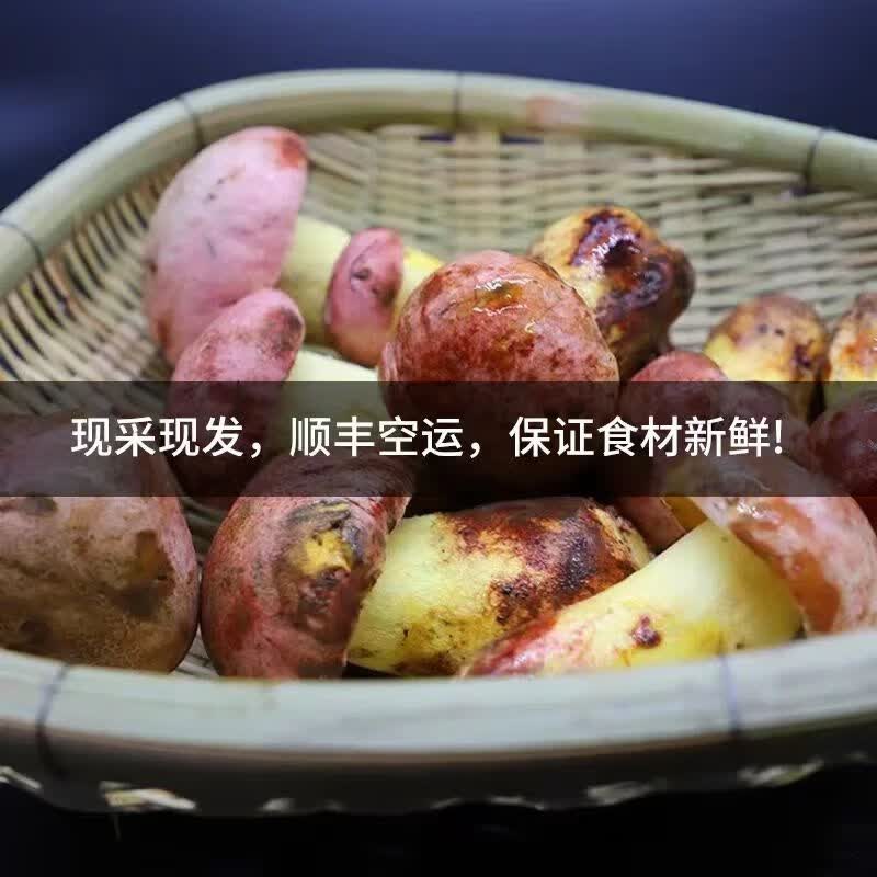 野生菌见手青牛肝菌新鲜现采顺丰空运粉菌白葱云南野生菌蘑菇2026 510g一斤精品质量装