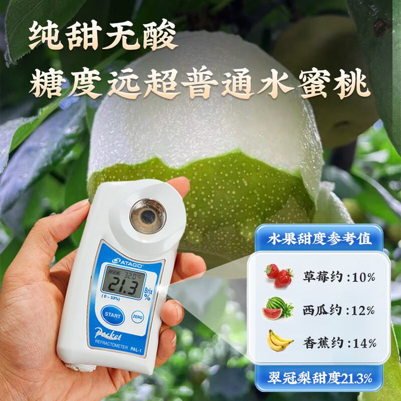 菲农【精美礼盒】正宗苏州树山翠冠梨子新鲜水果现摘当季礼盒砀山脆蜜 送礼力荐 【精美礼盒】6-7两8颗 顺丰