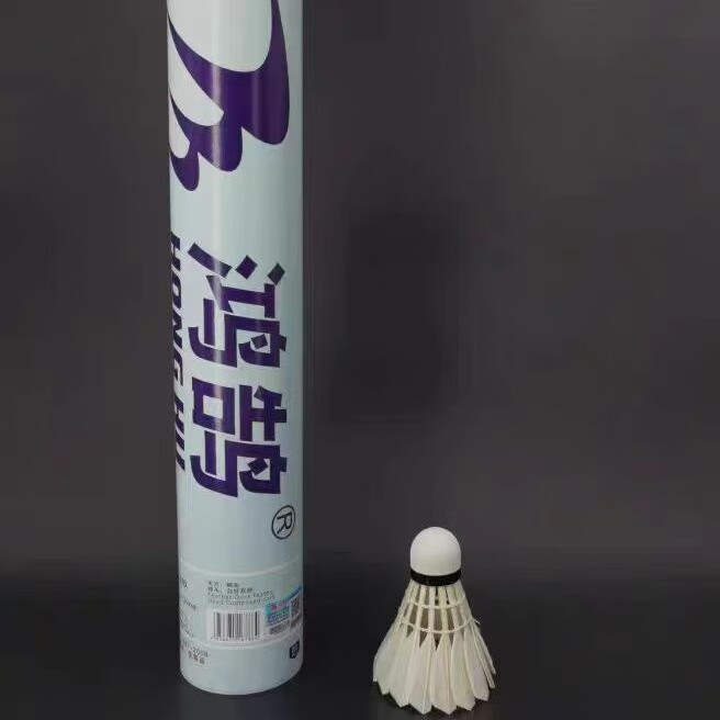 鸿鹄羽毛球12只练习耐打羽毛球107太阳比赛训练羽毛球h107 鸿鹄h107