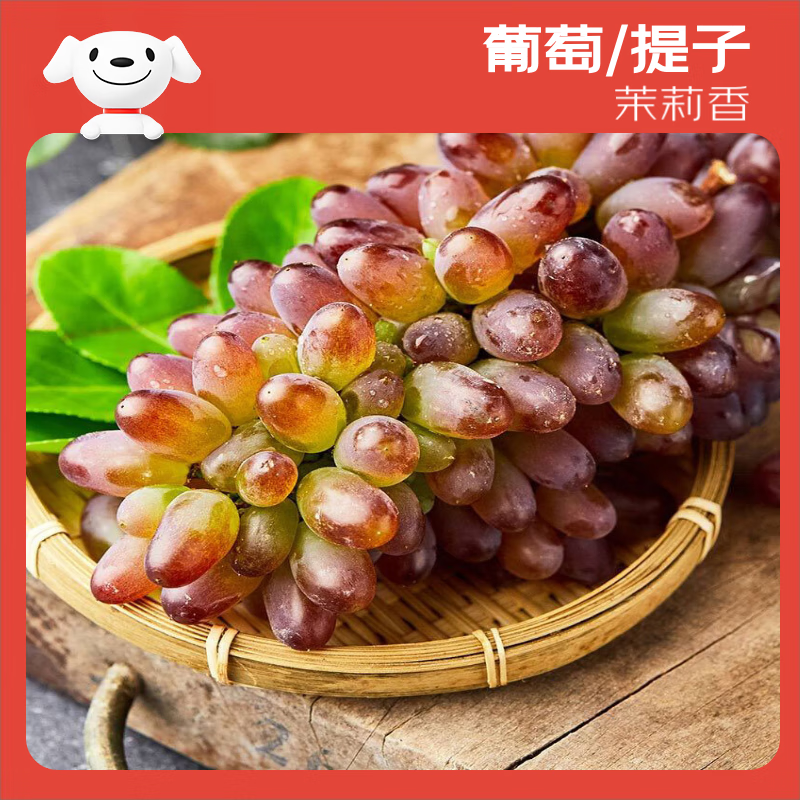 茉莉香葡萄美图4
