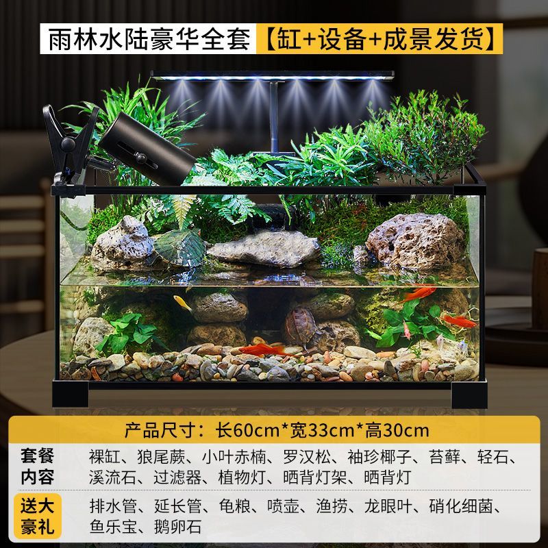 乌龟缸高清玻璃生态造景龟鱼缸一体混养生态缸客厅专用家用饲养缸 60雨林全套【缸+设备】