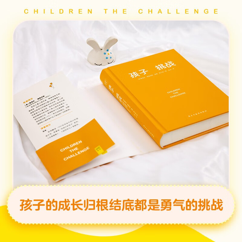 孩子：挑战（正面管教理念先驱者德雷克斯40年心血力作！儿童心理学奠基之作）详情图