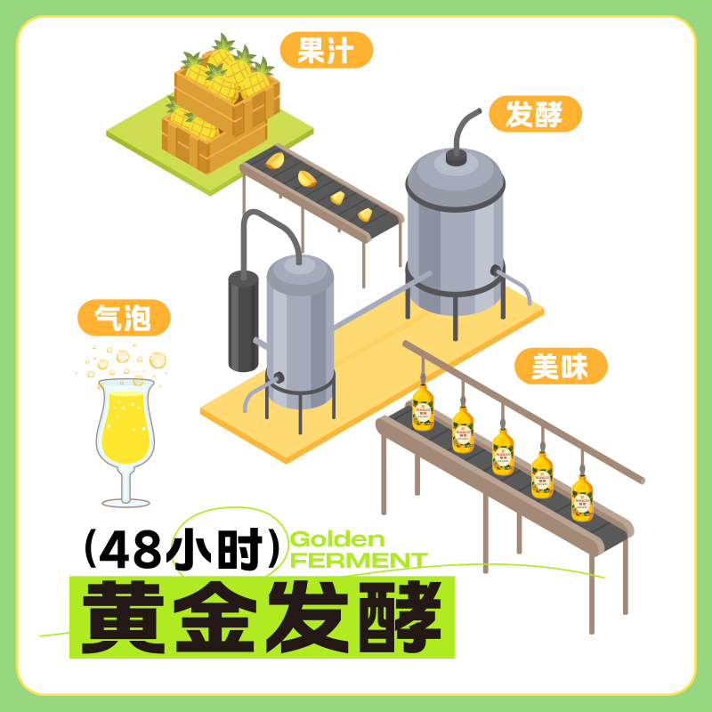 荣帝果汁汽水含气芭乐汁西柚汁菠萝椰子汁气泡水夏天清爽解暑解腻饮料 【12瓶】菲律宾菠萝汁