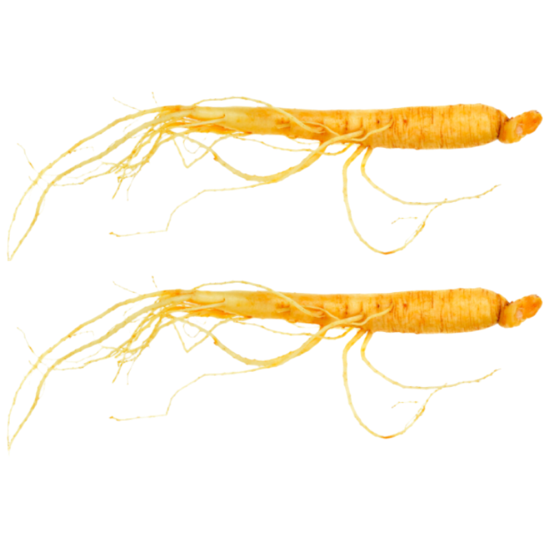 京鲜生长白山人参 2g*10支 干参保鲜参泡酒滋补煲汤 源头直发包邮