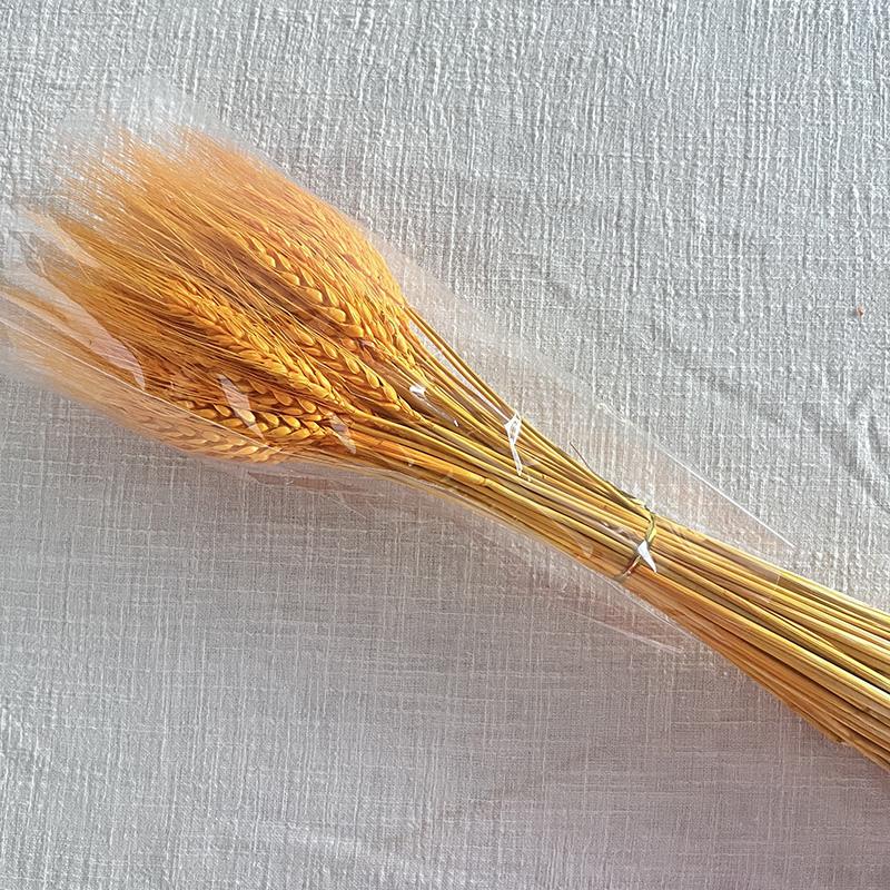 天然黄金麦穗干花招财大麦花束花店开业花篮麦子小麦摆件装饰批发