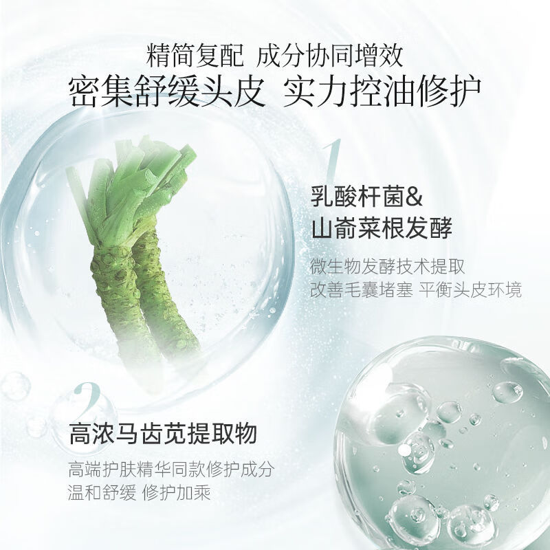 科丽尼舒缓头皮洗发水350ml洗头水控油去屑毛囊去油修护头皮男女 1瓶