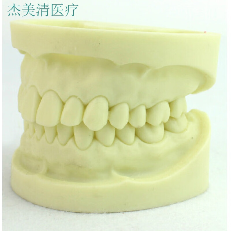 3d打印牙模定制长期保留牙齿模型可接扫描件复印树脂牙模 印树脂 印
