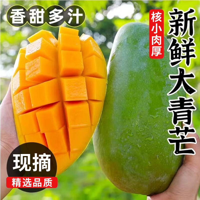 鲜福林现货越南进口大青芒水果当季新鲜甜心芒果大芒果包邮 净重4.5斤(单果400g起)