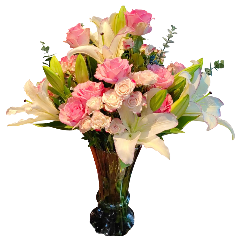 ʻٺ8 õ10֧13ʻɫԴͷֱ