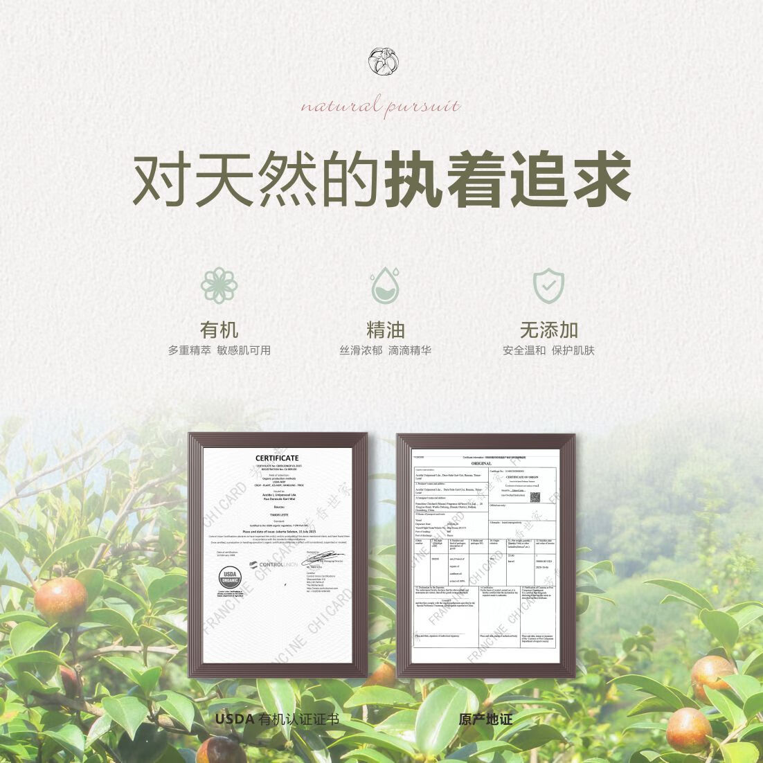 芳香世家香海岸植物精油洗护沐浴套装 保湿柔顺持久留香 山茶籽洗发乳500ml+草本精油润发乳500ml