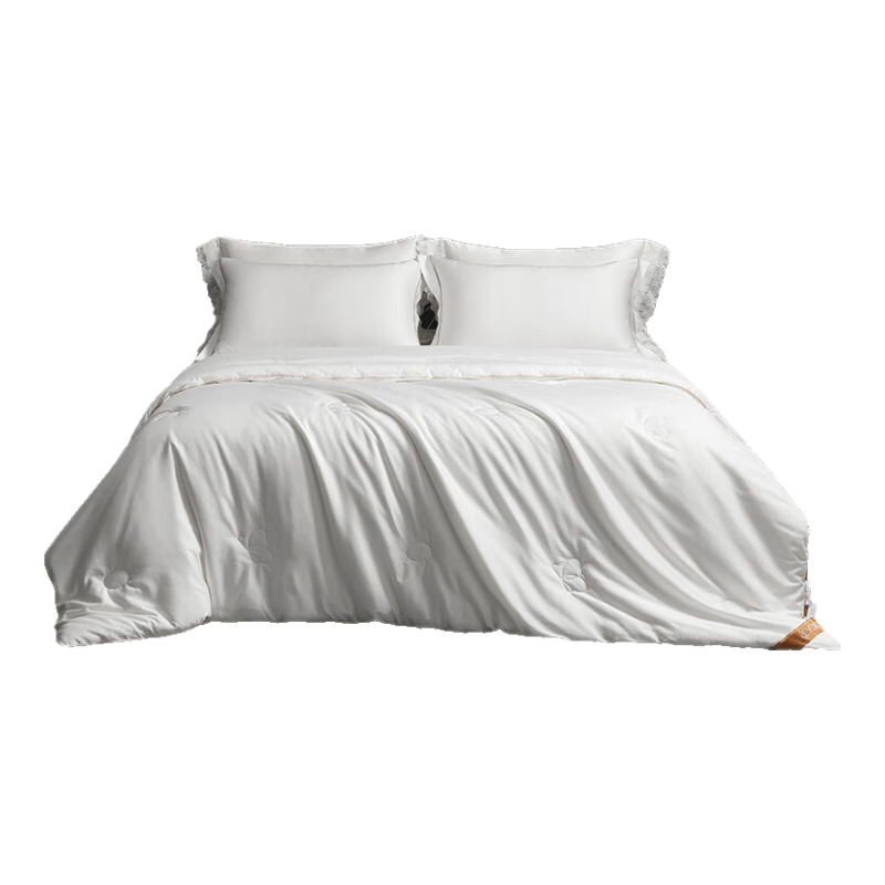 ����ҷ�ȫ��100%ɣ��˿���ﱻ100֧�����޲�˿��150*210cm˪������ 699.3Ԫ