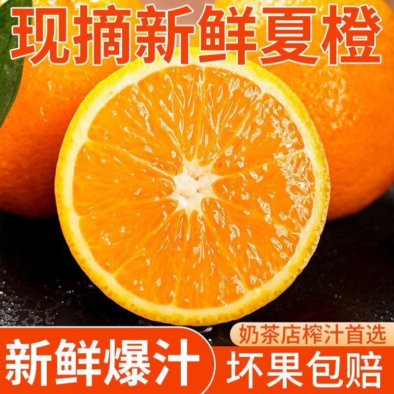 集年鲜湖北夏橙新鲜采摘水果生鲜现摘现发甜橙子源头直发 品鉴装净重4.5斤（单果60-65mm）