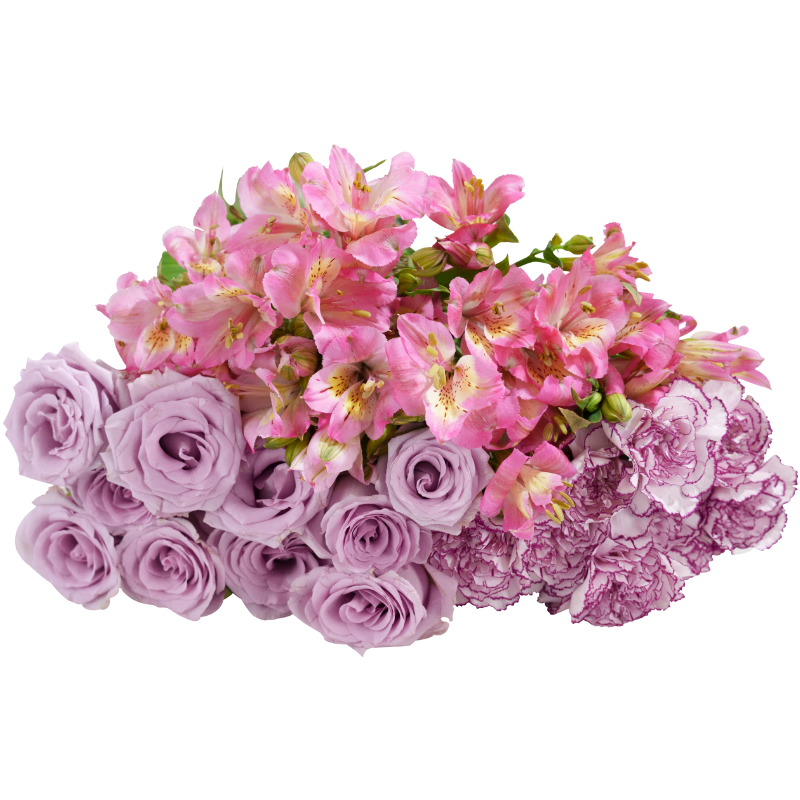 �����ʻ� õ��10֦+����ܰ10֦+������10֦29.9Ԫ