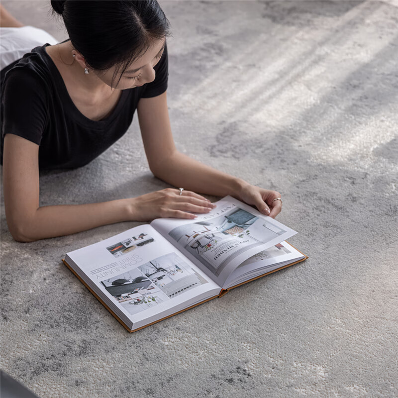 致尚美学新款地毯客厅降噪防猫抓零甲醛好打理北欧奶油风茶几毯卧室床边毯 塞力斯03【高档仿羊毛混纺材质】 1.6m*2.3m 加厚加密【1.8-2.4米沙发推荐】