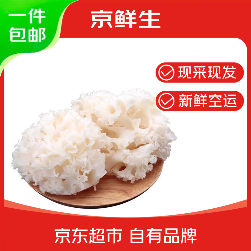 京鲜生云南特产鲜菌菇【新鲜绣球菇】净重600g 伪干巴菌煲汤 源头直发