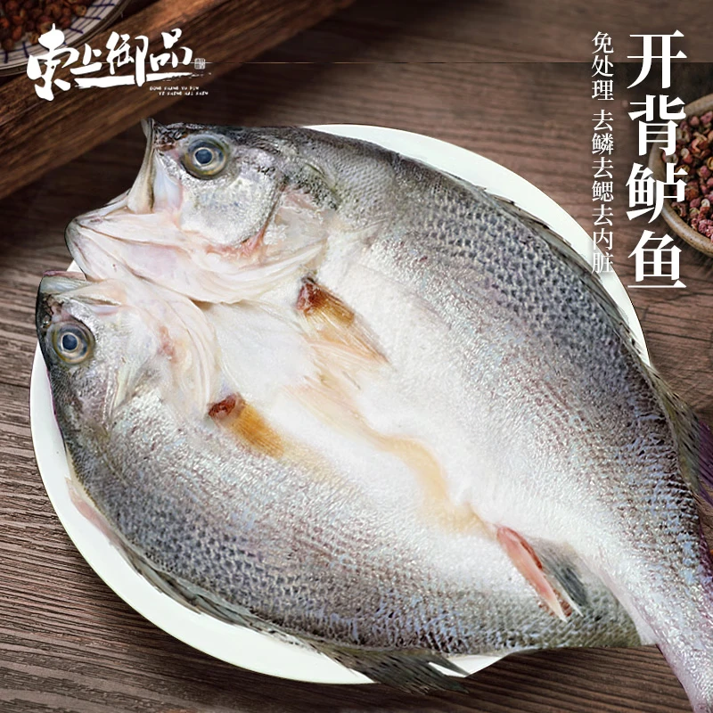 东上御品 国产 开背鲈鱼净重450g*2条 海鲈鱼 三去处理 免杀即烹-源头直发