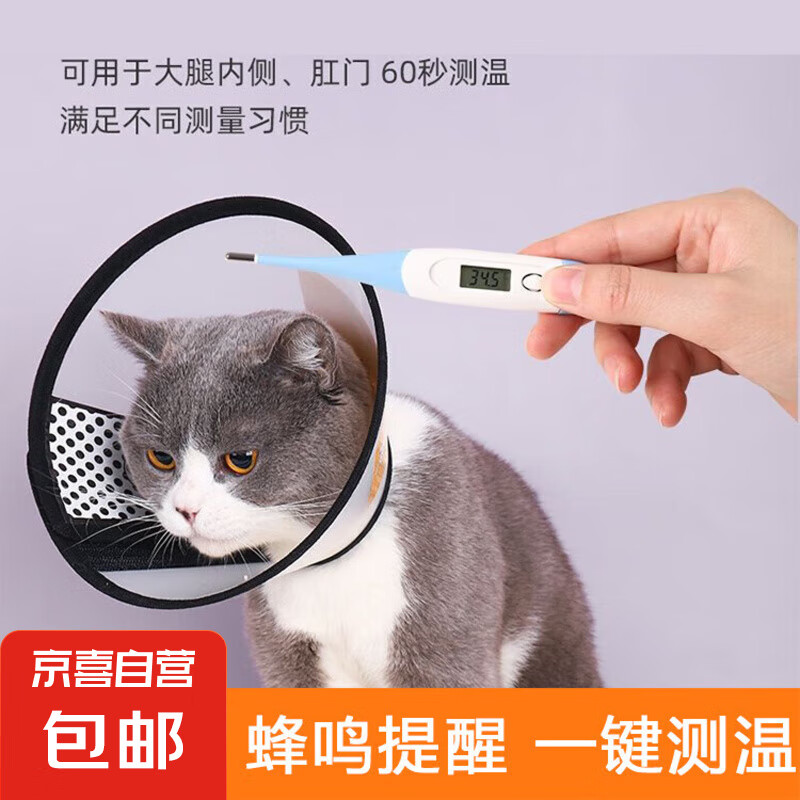 宠物保健用品宠物体温计 体温计 1个