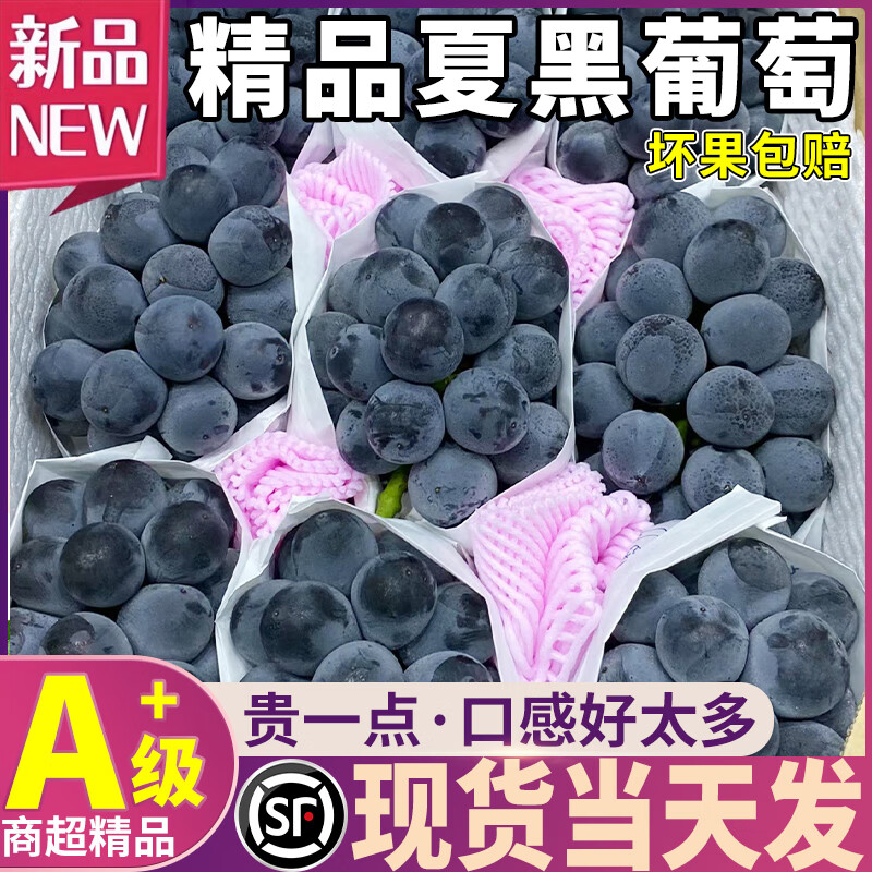 鲜级佳 夏黑葡萄【多地区次日达】云南蓝葡萄脆甜无籽孕妇水果巨峰葡萄 2斤净重【较划算】尝鲜装 A+级精选果【酸甜可口】