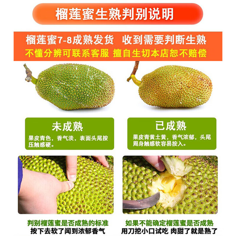 橙尚宫【现货】海南榴莲蜜应当季热带新鲜水果手撕菠萝蜜软糯香甜湿苞 净重2-3斤【1个装】尝鲜体验