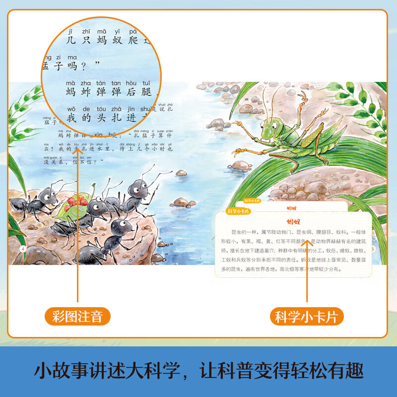 小小科学家全套30册启蒙绘本有声伴读礼盒版 物理学家名家大奖科学启蒙系列 给孩子的科普大奖 【全30册礼盒版】小小科学家