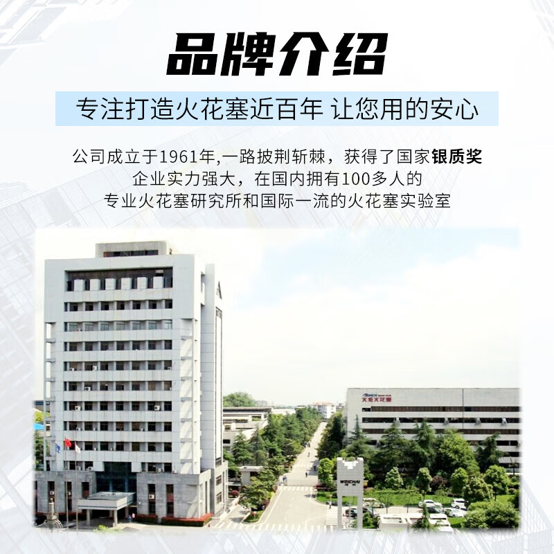 火炬（TORCH）双铱金火花塞丰田锐志2.5 3.0皇冠汉兰达GS雷克萨斯RX350原厂升级