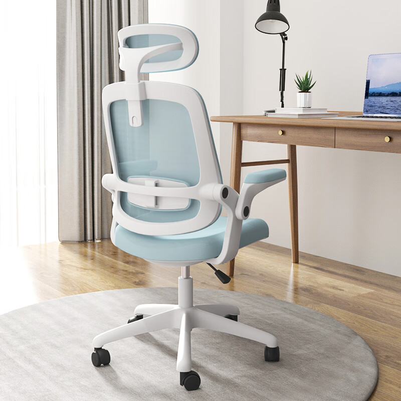 聯(lián)豐（LIANFENG）元?dú)饧矣秒娔X椅學(xué)習(xí)椅子久坐舒服辦公座椅大學(xué)生宿舍書桌椅靠背椅 升級(jí)1淺藍(lán)（護(hù)腰調(diào)節(jié)）帶頭枕 尼龍腳_90°翻轉(zhuǎn)扶手
