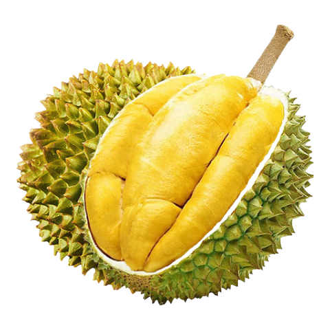 ʲèɽD197ǽڴҺ䶳ˮ ѡ3.5-4.04