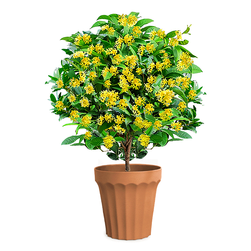 ���ڲ����������й������ļ������Կ�ʳ�ÿ�������������̨����Դͷֱ��