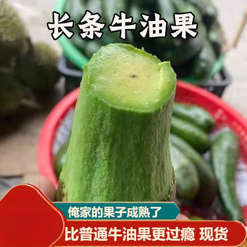 越南进口牛油果304长条大果新鲜当季热带水果果汁 1斤装【1斤约1-3个】 0个