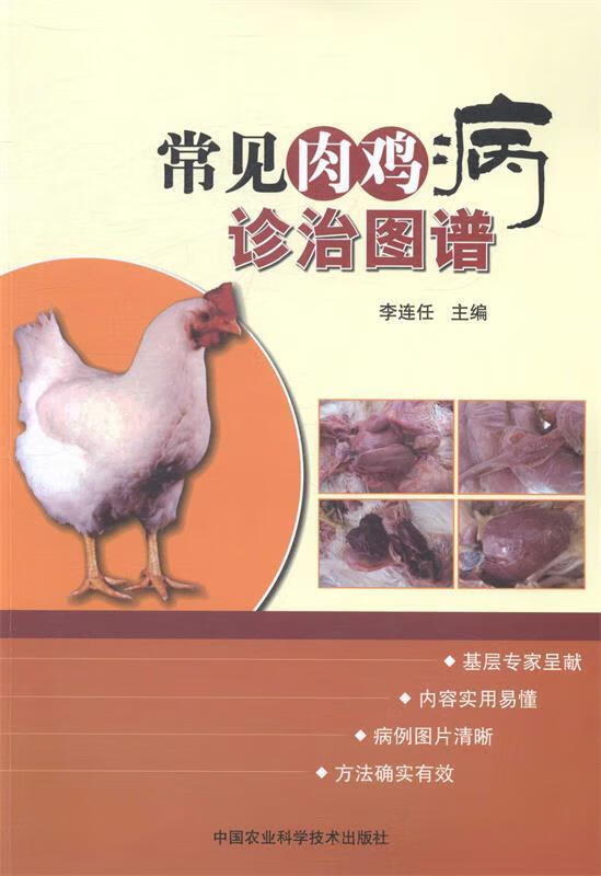 常见肉鸡病诊治图谱 李连任 编 9787511613356 中国农业科学技术出版社