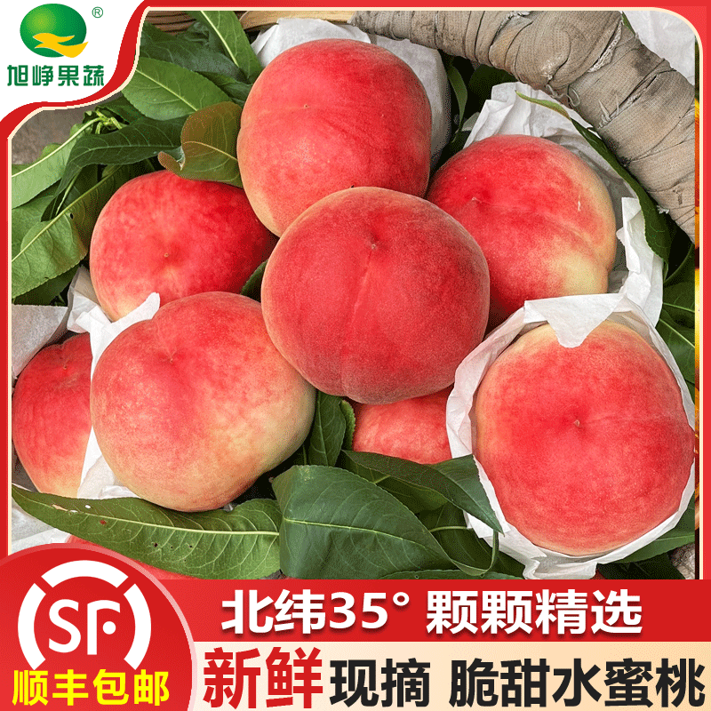 旭峥果蔬新鲜露天水蜜桃4.5斤脆甜多汁当季现摘桃子精选毛桃孕妇水果整箱 【中大果】净重4.5斤10-12枚装