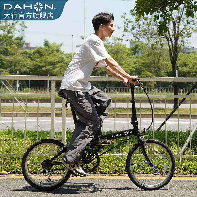 大行（DAHON）D6折叠自行车20英寸6速入门级折叠车成人学生通勤休闲单车KBC061 消光黑