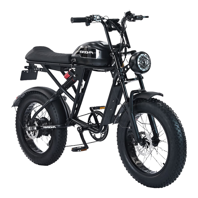 ڲˣPhoenixSuper73綯г¹ɽԽҰŵ綯 RX+˫͵ɲ+NFC൵Ǳ 36AH﮵4749Ԫ