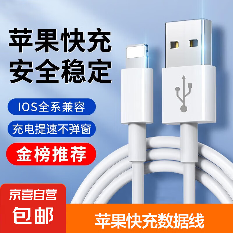 苹果数据线快充充电线 适用iPhone14/13/12Pro Max/XR/Xs/11/8手机ipad平板充电器线 苹果快充数据线1米*1条装